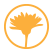 Calendula Officinialis